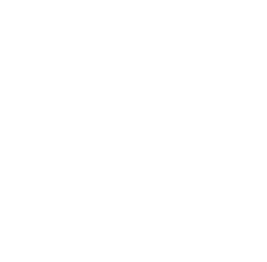 Pennant icon with LU. Icon is outlined in white.