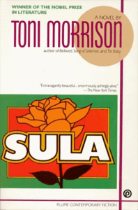 Sula Book Cover