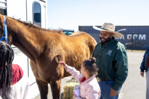 a child brushes a horse
