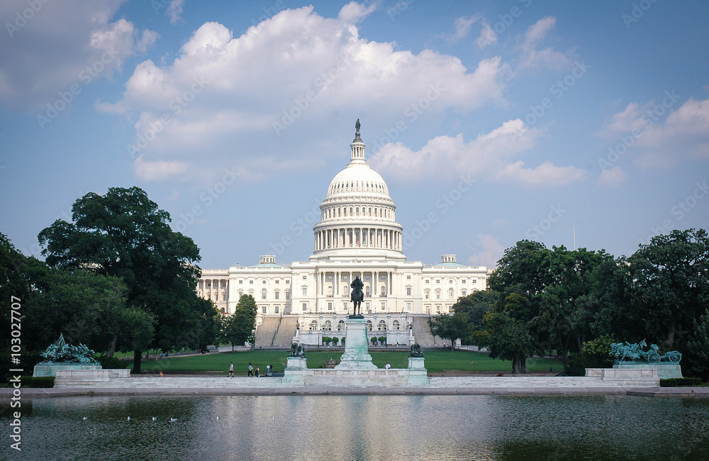 image of washington dc with the capitol in foreground