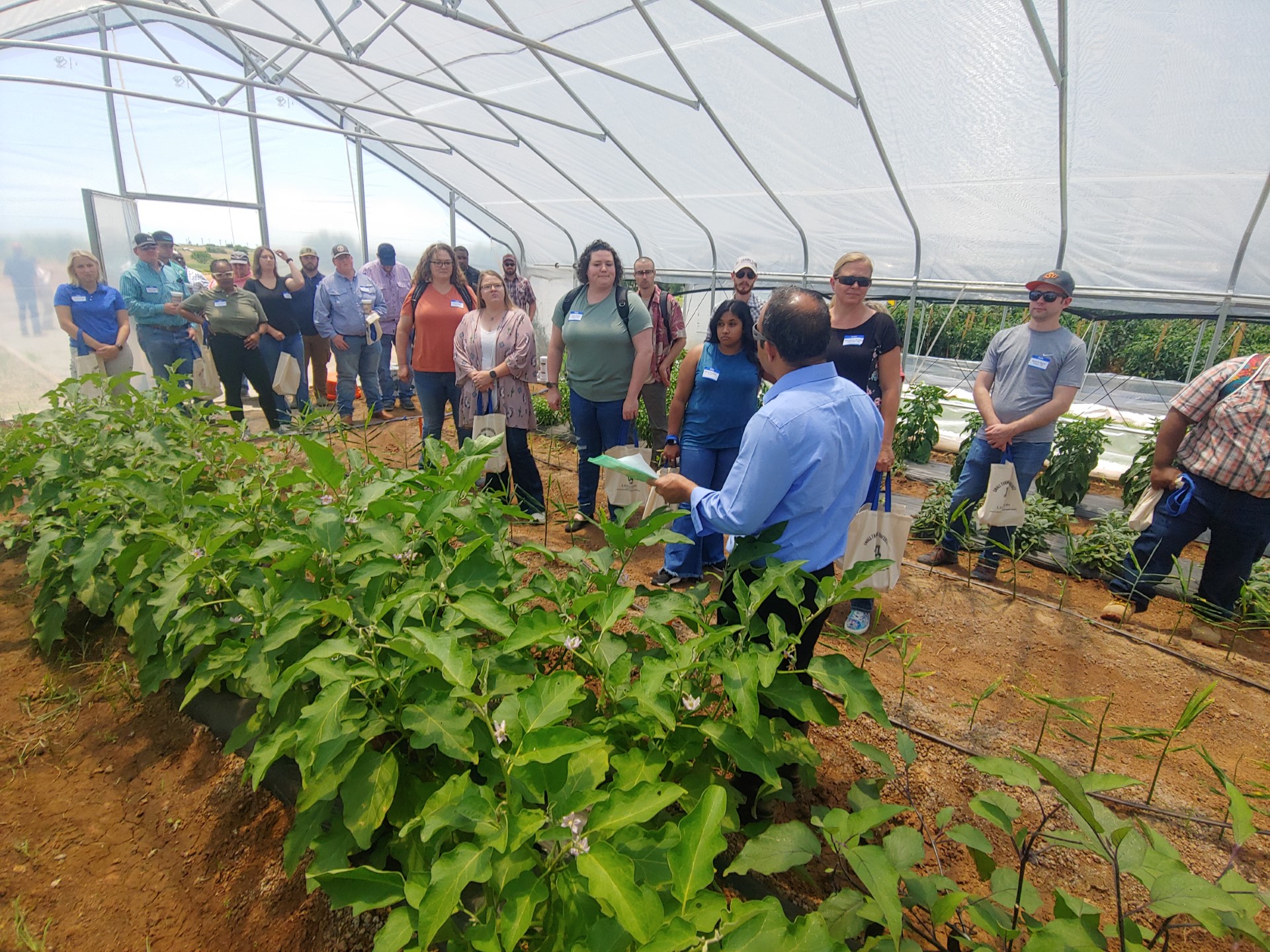 Photo of individuals inside the HERC greenhouse